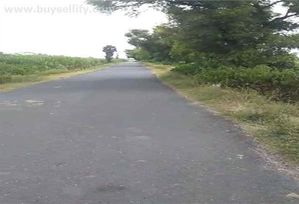 1 Acre Punjai Farm Land for Sale near Panchalam on 33 ft Tar road access.  Just 3 kms  National  Highway.( GST Road), Tindivanam