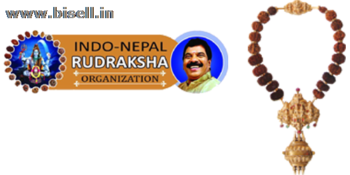 1 Mukhi Rudraksha | 100 % Genuine Rudraksha Sellers