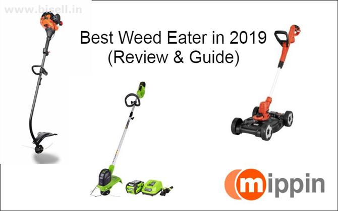 10 Best Weed Eater in 2019