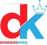 100+ Premium Domains for Sale Job Lot - High Demand Domains for Sell