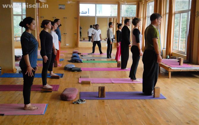 300 Hours yoga teacher training course in Rishikesh, India