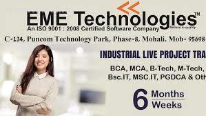 6 Months Free Industrial Training in Chandigarh