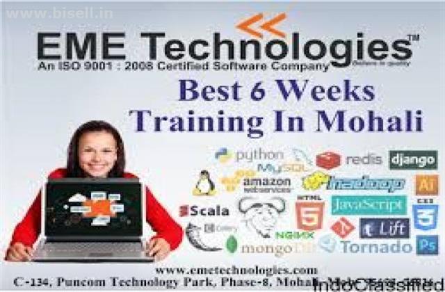 6 Months Free Industrial Training in Chandigarh