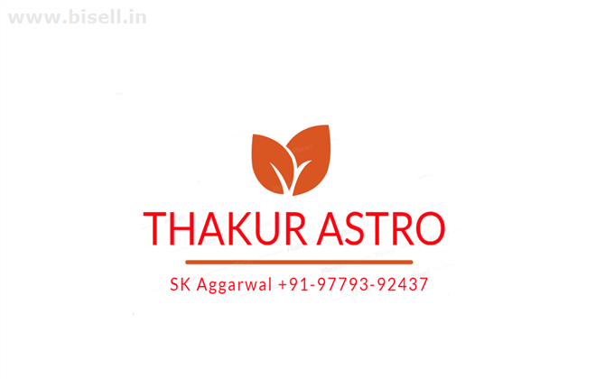 Accurate Predictions Solutions Astrologer+91-9779392437