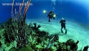 Andaman Summer Special With Under Water Safari