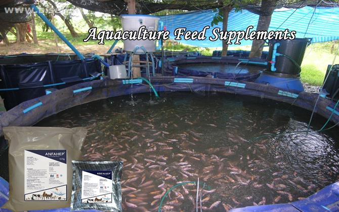 Aquaculture feed supplements