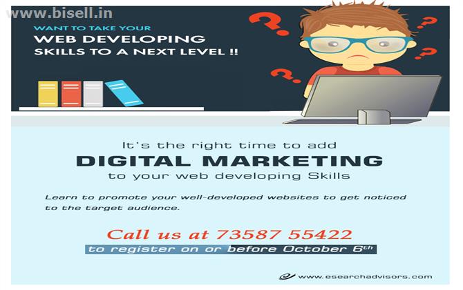 Are you a web-developer trying to boost your websites through Digital Marketing?