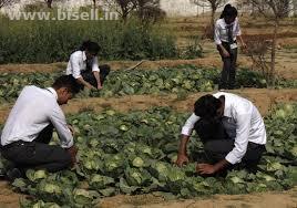 BEST AGRICULTURE COLLEGE IN UTTARAKHAND