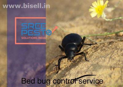 Best Anti Termite Pest Control Service by Sreepesto Uppal