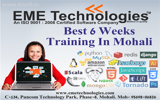 best indusrial training in mohali