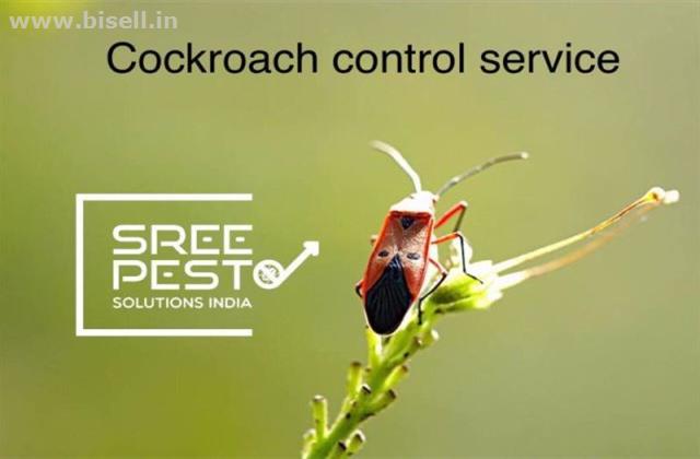 Best Industrial Pest Control Service by Sreepesto Ameerpet