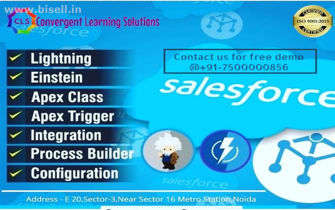 Best IT Training Institute for Salesforce