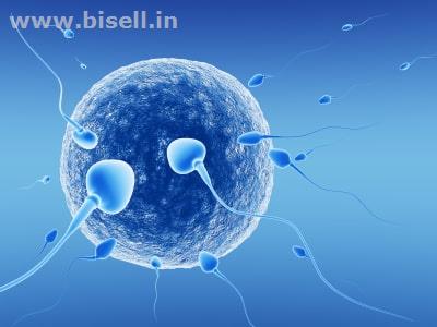 Best IVF Centre in Hyderabad | Fertility Centre in Kukatpally - Mums Fertility Centre