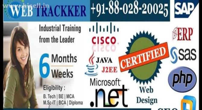 Best MS sql training institutes in noida