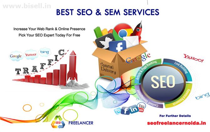 Best SEO Freelance In nioda-Get Your Website Google First Page