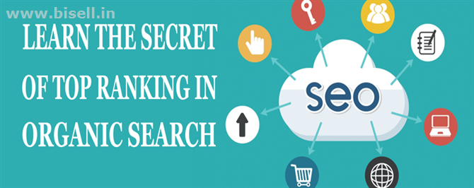 Best SEO Training In Chandigarh