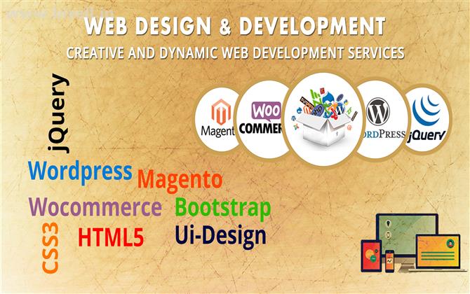 Best Web Development Company in Chandigarh