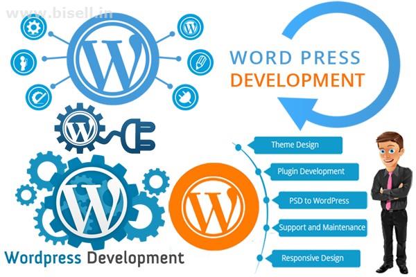 Best Wordpress Development Company in Chandigarh