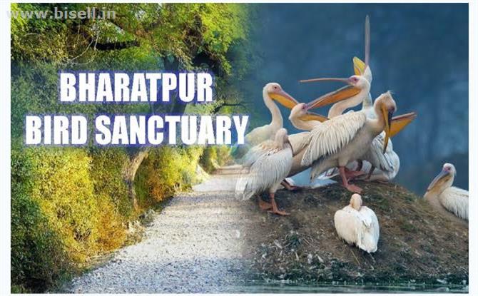 •Bharatpur  Weekend Tour from Delhi