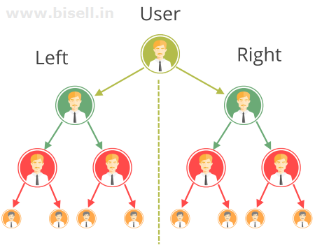 Binary MLM Software