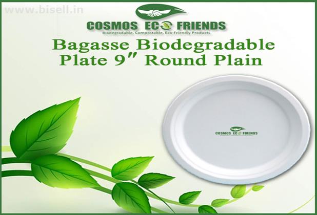 Biodegradable Food Containers