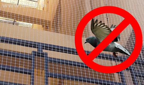 Bird Protection Nets in Hyderabad @ Raj Enterprises