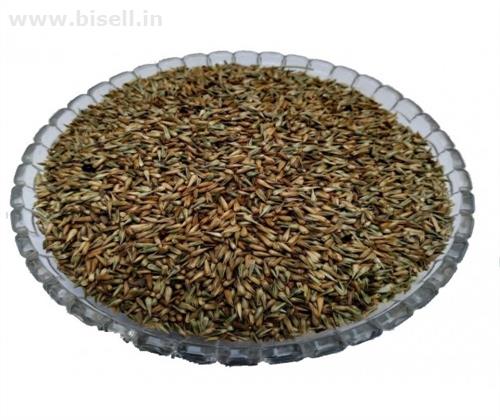 Buy Best Quality Of APAMARG SEEDS - UTTARENI SEEDS - LATJIRA BEEJ - CHIRCHITA - LATJEERA from IndianJadiBooti