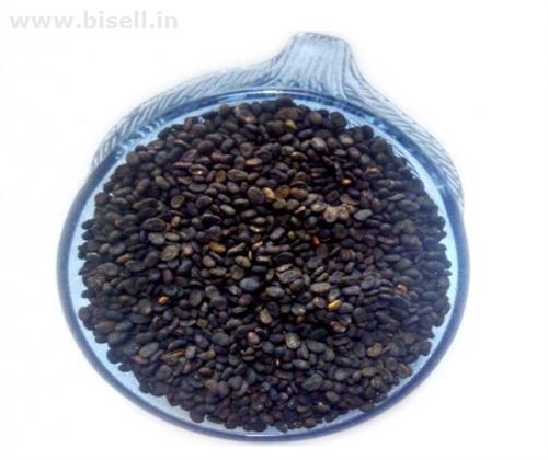 Buy Best Quality Of BABCHI SEEDS - BAKUCHI SEEDS - BAVACHI BEEJ - BAVCHI BEEJ - PSORALEA SEEDS from IndianJadiBooti