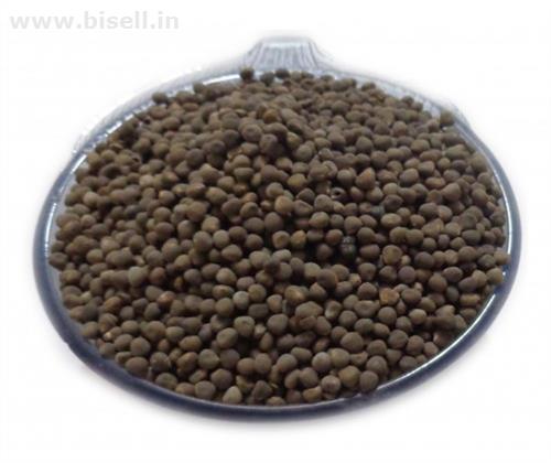 Buy Best Quality Of BEEJ BHINDI - OKRA SEEDS - LADYFINGER SEEDS - LADY FINGER SEEDS - ABELMOSCHUS ESCULENTUS from IndianJadiBooti