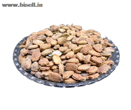 Buy Best Quality Of BITTER GOURD SEEDS - KARELA BEEJ - MOMORDICA CHARANTIA from IndianJadiBooti