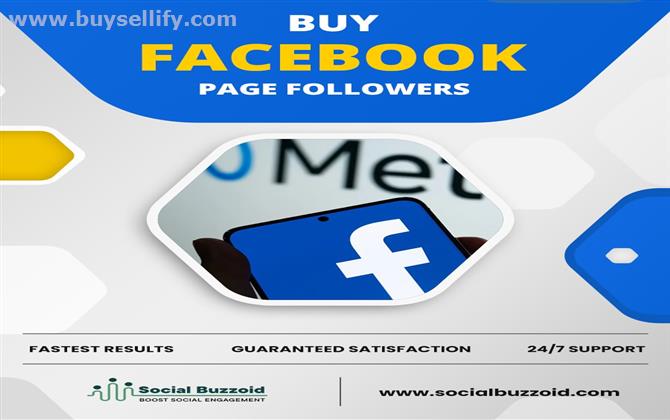 Buy Facebook Likes and Followers | socialbuzzoid.com