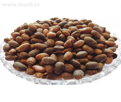 Buy IndianJadiBooti Jamalghota Seed Online – @199