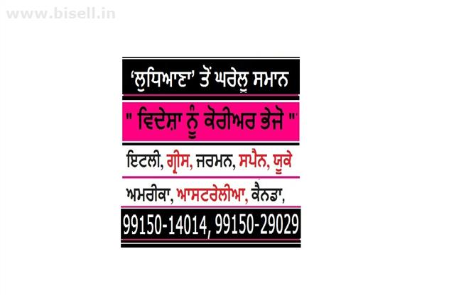 Call: +919915014014 All Household Courier LUDHIANA to Spain Germany Italy France Worldwide for Home pick up