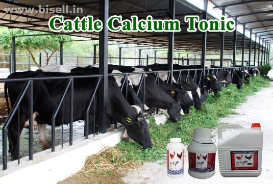 Cattle calcium Tonic