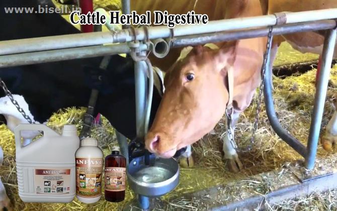 Cattle herbal digestive