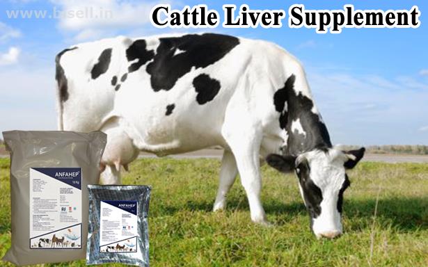 Cattle Liver Supplement