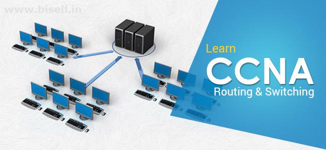 CCNA Training in Delhi - Participate in Online Classes now at Netlabs ITS