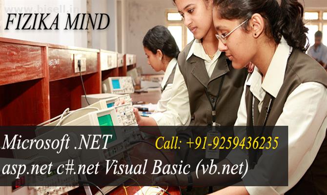 Certificate Course in Microsoft .NET asp.net c#.net Visual Basic (vb.net)