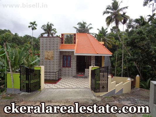 Chittazha Vattappara  house for sale