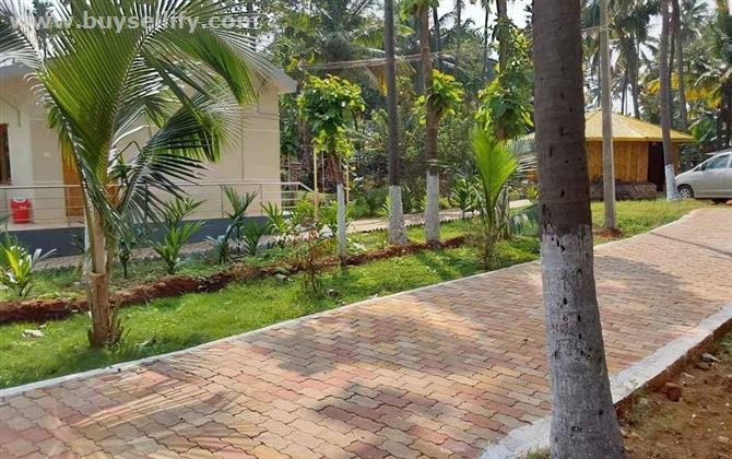 Cottage house with teak coconut trees and farm land for sale with 30K monthly income @ Tenkasi!!