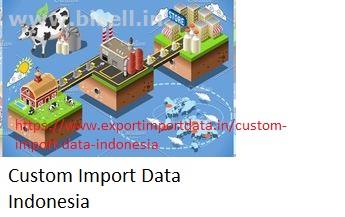 Custom Import Data Indonesia