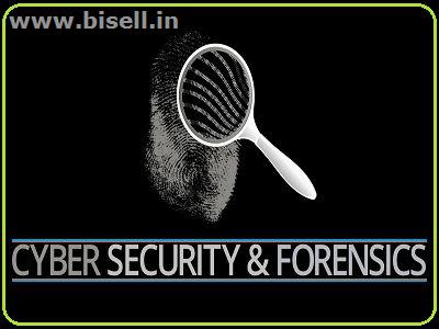 Cyber Security (6 months) For Cyber Forensic Students