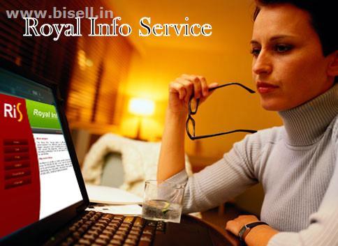 Royal Info Service Offer