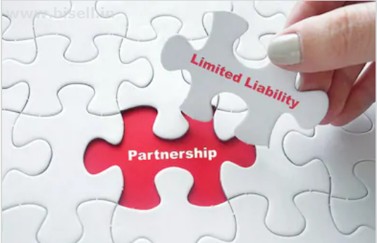 Definition of an LLC: Limited Liability Company @9999008018