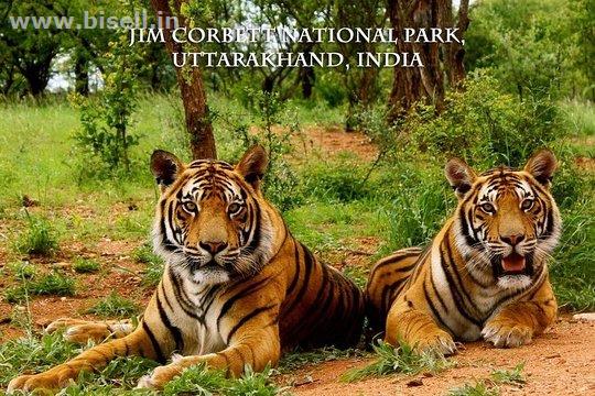 •	Delhi-Corbett National Park Weekend Tour