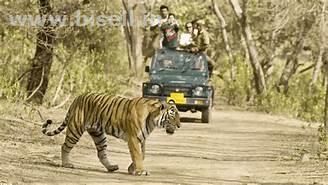 •	Delhi-Corbett National Park Weekend Tour