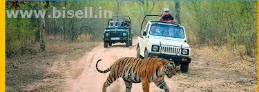 •	Delhi-Corbett National Park Weekend Tour