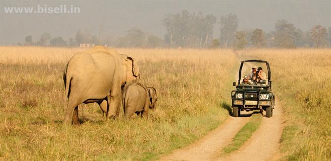 Delhi-Corbett National Park Weekend Tour