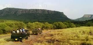 Delhi-Sariska National Park Weekend Tour