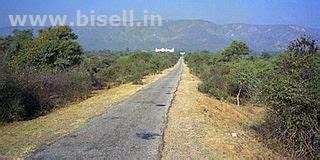 Delhi-Sariska National Park Weekend Tour